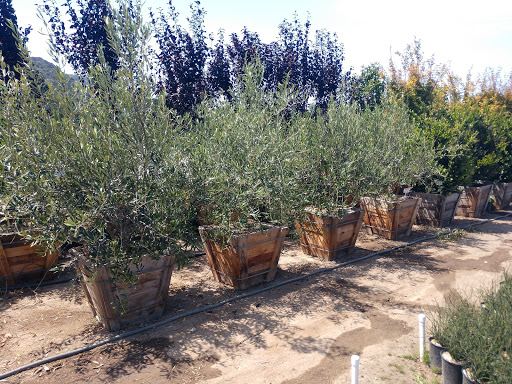 Griggs Nursery image