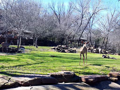 Wildlife and safari park Irving