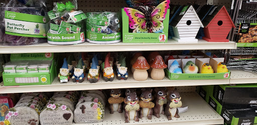 Dollar Store «FAMILY DOLLAR», reviews and photos, 525 Washington St, Stoughton, MA 02072, USA