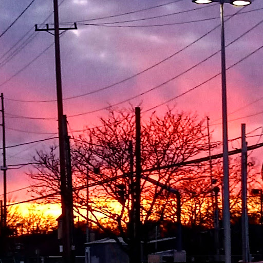 Supermarket «Best Market Islip», reviews and photos, 155 Islip Ave, Islip, NY 11751, USA