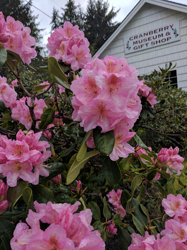 Museum «Cranberry Museum», reviews and photos, 2907 Pioneer Rd, Long Beach, WA 98631, USA