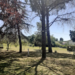 Photo n°6 de l'avis de Marco.i fait le 02/06/2022 à 12:25 sur le  Ristorante Piccolo Mondo à Bomarzo