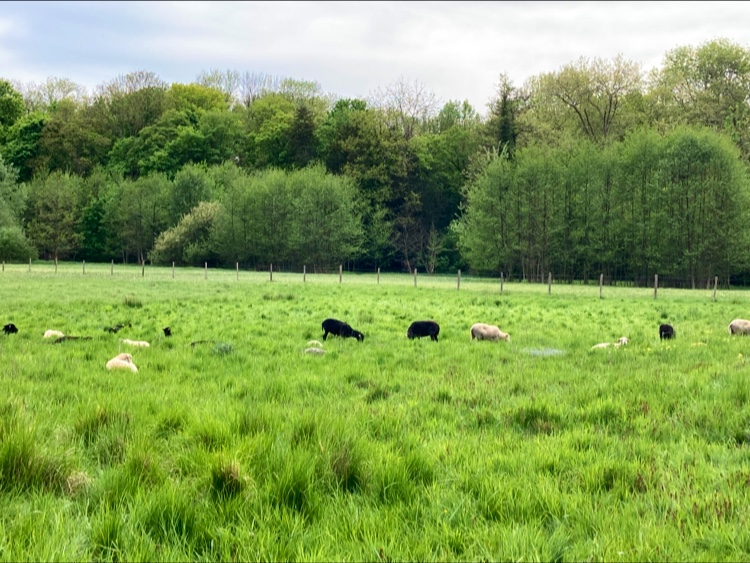 Photo n° 1 de l'avis de Claire.D fait le 12/05/2022 à 21:45