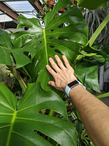 Orchid Grower «Orchid Dynasty», reviews and photos, 959 900 S, Salt Lake City, UT 84105, USA