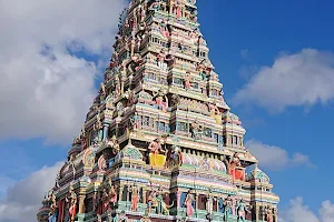 Tookay Temple image