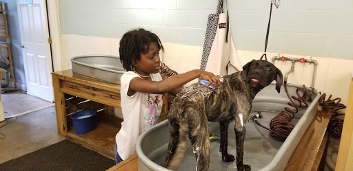 Pet Supply Store «Wags & Whiskers - West Nashville», reviews and photos, 3731 Charlotte Ave, Nashville, TN 37209, USA