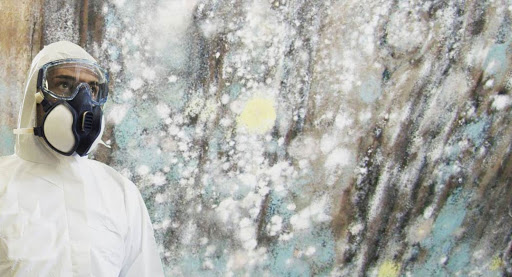 Water Damage Restoration Service «FreshStart Restoration», reviews and photos