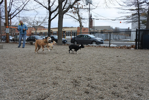 Dog park New Haven