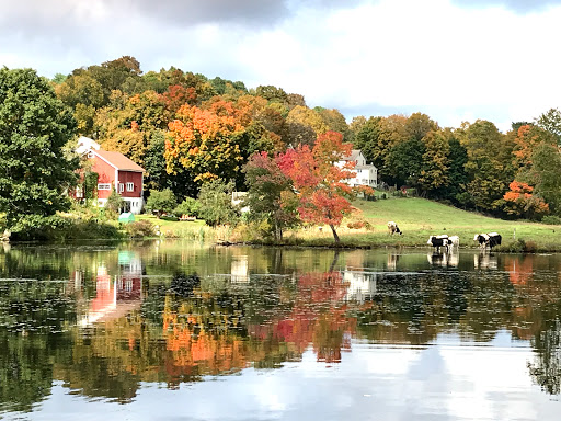 Convenience Store «Mill Pond Country Store», reviews and photos, 220 East St, Stafford Springs, CT 06076, USA