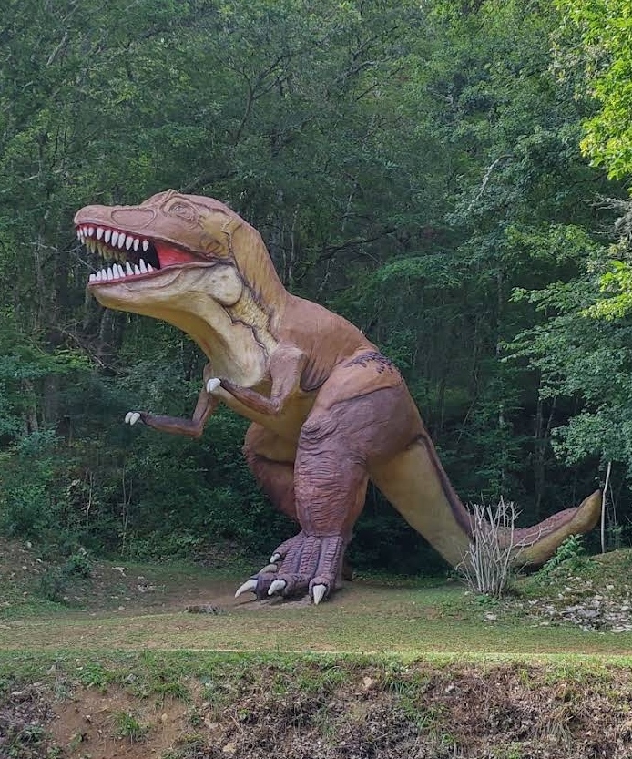 Photo n° 5 de l'avis de Akasha.l fait le 15/08/2021 à 23:23