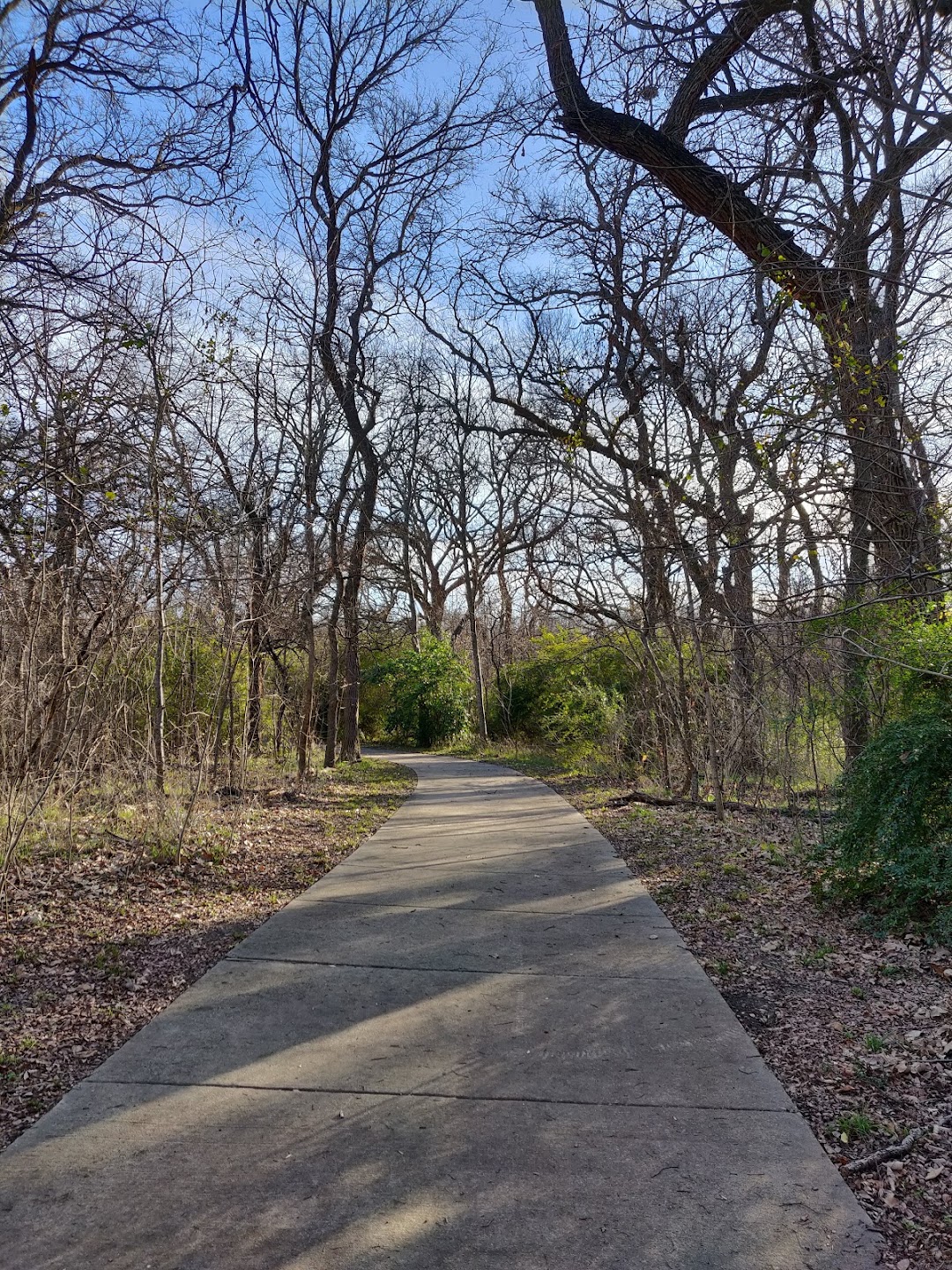 The Trail at the Woods