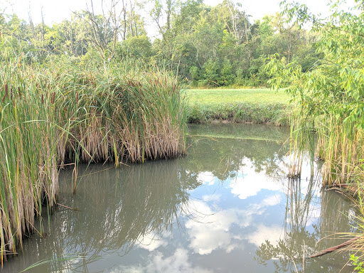 Nature Preserve «Camp Pine Woods», reviews and photos, Central Rd, Glenview, IL 60025, USA