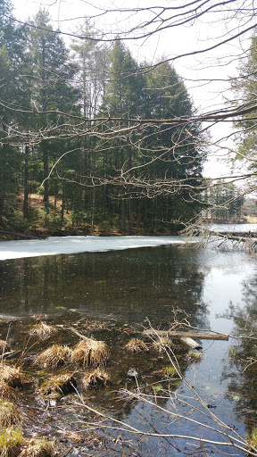 Community Center «Wason Pond Community Center, Chester NH», reviews and photos, 603 Raymond Rd, Chester, NH 03036, USA