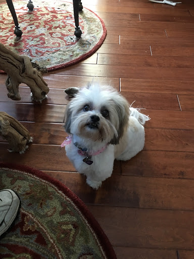 56 High Country Sq, Banner Elk, NC 28604, USA