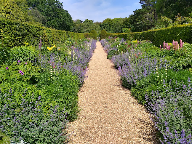 Comments and reviews of National Trust - Mottistone Gardens