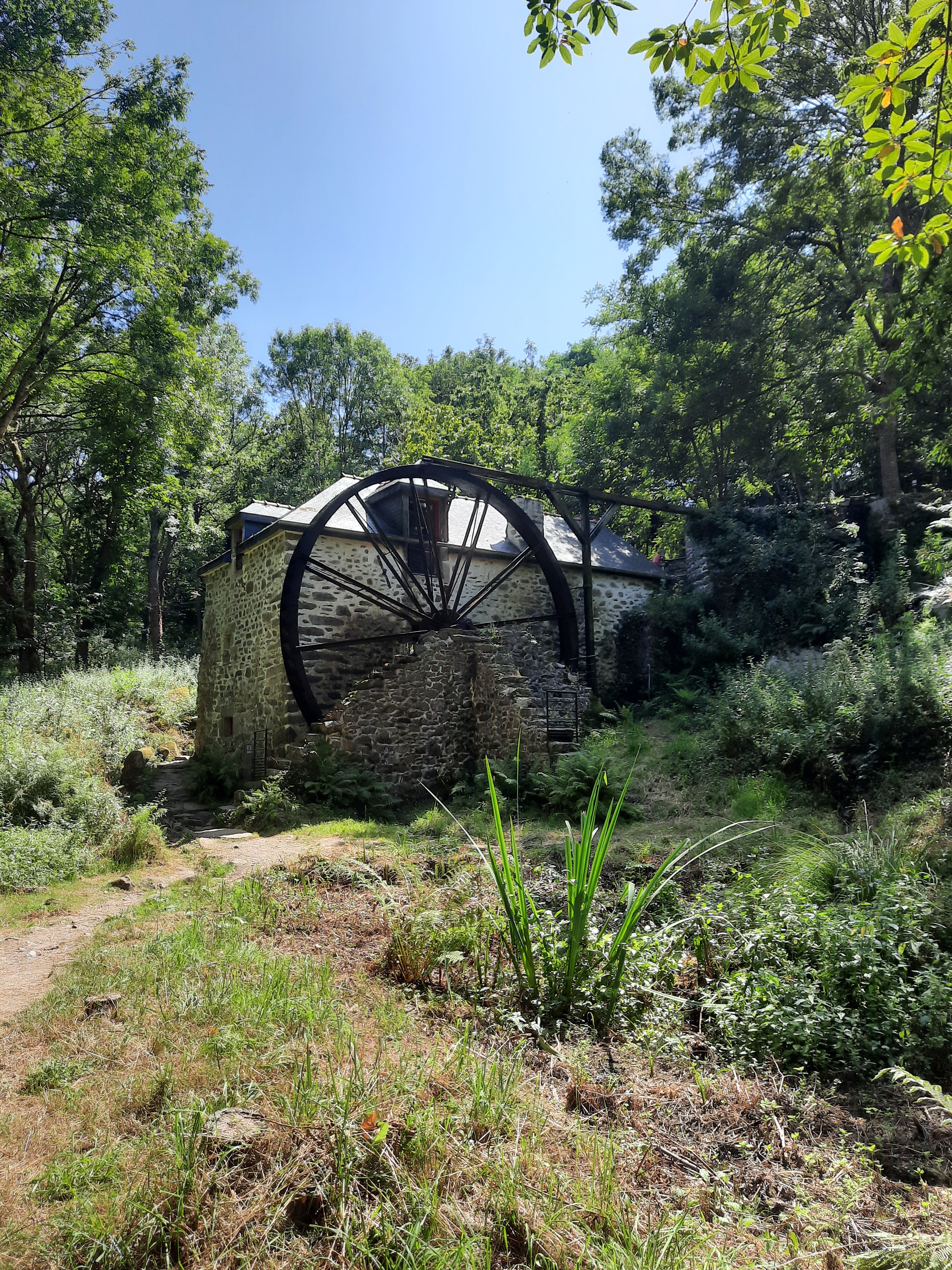Photo n° 10 de l'avis de Sy.e fait le 17/07/2020 à 21:48