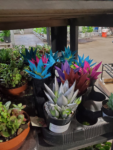 Home Improvement Store «The Home Depot», reviews and photos, 2160 NJ-70, Cherry Hill, NJ 08002, USA