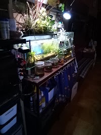 Bar神風