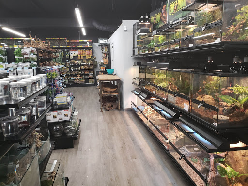 Pet Store «Bluewater Zoo Exotic Aquariums & Reptiles», reviews and photos, 159 Miracle Strip Pkwy SE, Fort Walton Beach, FL 32548, USA