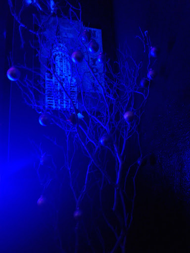 Tobacco Shop «Ruby Hookah Lounge & Smoke Shop», reviews and photos, 3829 Railroad Ave, Pittsburg, CA 94565, USA