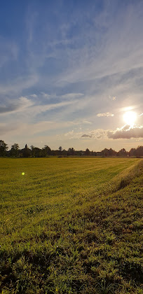 Photos des visiteurs Bed & Breakfast Notte&Arte B&B Lodi 26834 Corte Palasio