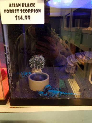 Pet Store «Fish & More Pet Store», reviews and photos, 310 E Main St #8, Sylva, NC 28779, USA