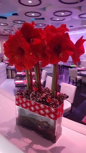 Latin American Restaurant «Silhouette», reviews and photos, 5668 Broadway, Bronx, NY 10463, USA