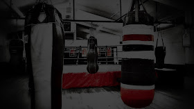 Salisbury Amateur Boxing Club