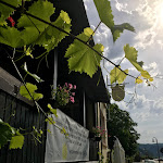 Photo n°1 de l'avis de Mariluce.c fait le 05/07/2022 à 07:51 sur le  Hatzenporter Paradies à Hatzenport