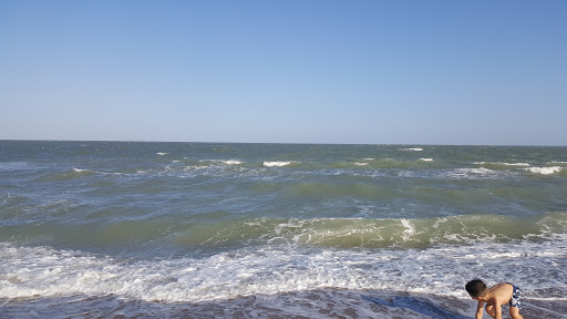 Gift Shop «North Beach Gift Shop», reviews and photos, 2901 Surfside Blvd, Corpus Christi, TX 78402, USA