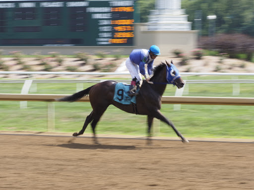 Racecourse «Belterra Park Gaming», reviews and photos, 6301 Kellogg Rd, Cincinnati, OH 45230, USA