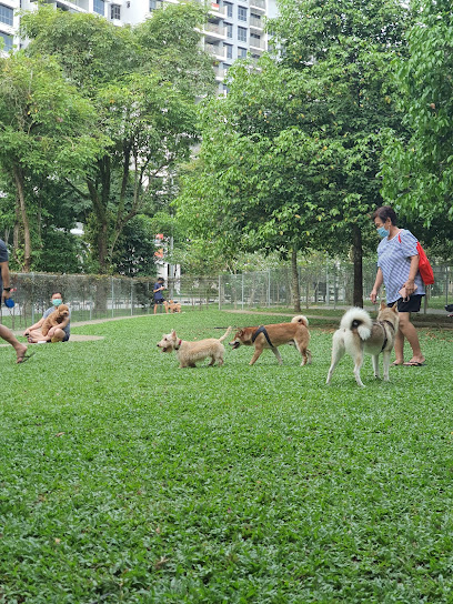 Yishun Park Dog Run