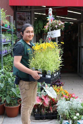Hardware Store «Woodley Park Ace Hardware», reviews and photos, 2616 Connecticut Ave NW, Washington, DC 20008, USA