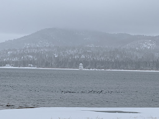 Holly Gardner, REALTOR Keller Williams Big Bear Lake Arrowhead-The Mountain Resort Group image