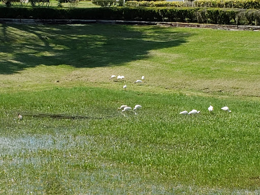 Golf Course «Ocala Palms Golf & Country Club», reviews and photos, 5174 NW 26th St, Ocala, FL 34482, USA