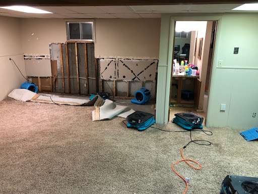 Teton Valley Carpet Cleaning & Restoration of Driggs in Driggs, Idaho