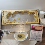 Photo n°11 de l'avis de Jani.y fait le 28/09/2023 à 06:11 sur le  Acca Palace à Milan