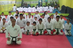 Funakoshi Trujillo - Centro Internacional de Karate y Artes Marciales image