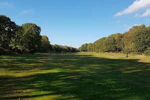 Berkhamsted Golf Club image