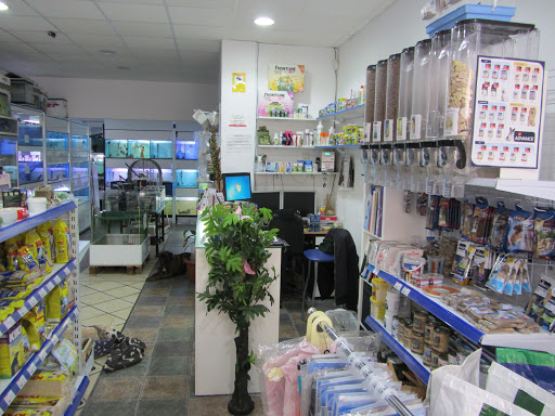 Discusmardelrey - Alicante