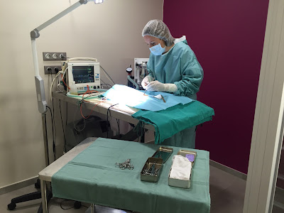 Clinique Vétérinaire des 7 Iles à Montfermeil
