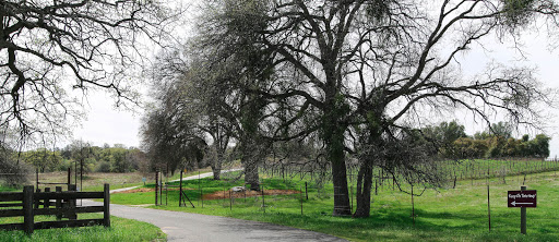 Winery «Twisted Oak Winery», reviews and photos, 4280 Red Hill Rd, Vallecito, CA 95251, USA