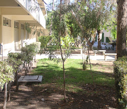 UABC - Faculty of Medicine and Psychology photo