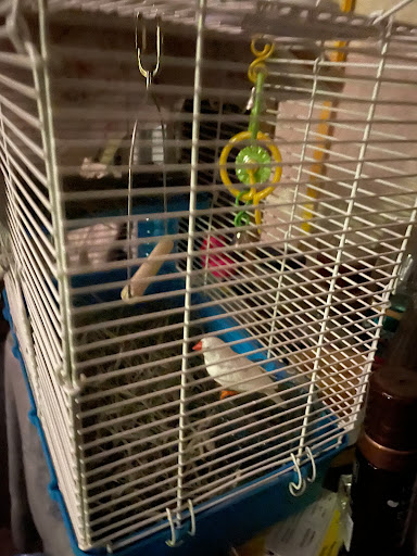 Pet Supply Store «PetSmart», reviews and photos, 420 Home Dr, Pittsburgh, PA 15275, USA