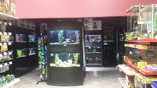 Pet Store «Petland Vineyard - San Antonio», reviews and photos, 1309 North Loop 1604 W #101, San Antonio, TX 78258, USA