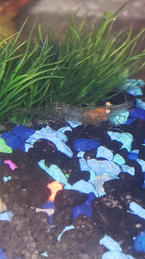 Pet Supply Store «Pet Supplies Plus», reviews and photos, 311 Sagamore Pkwy N, Lafayette, IN 47904, USA