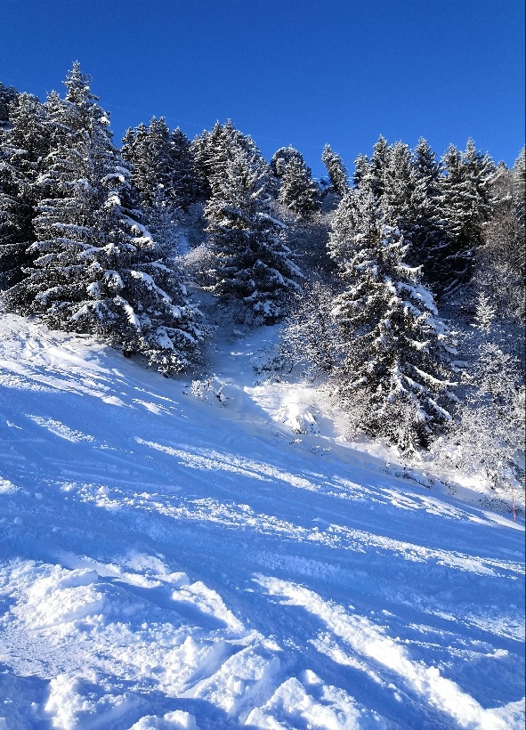 Photo n° 1 de l'avis de 1000etG.I fait le 09/02/2019 à 07:39