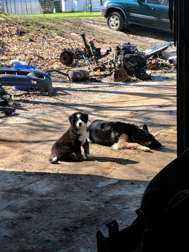 Camaro Heaven / Drew Auto Parts