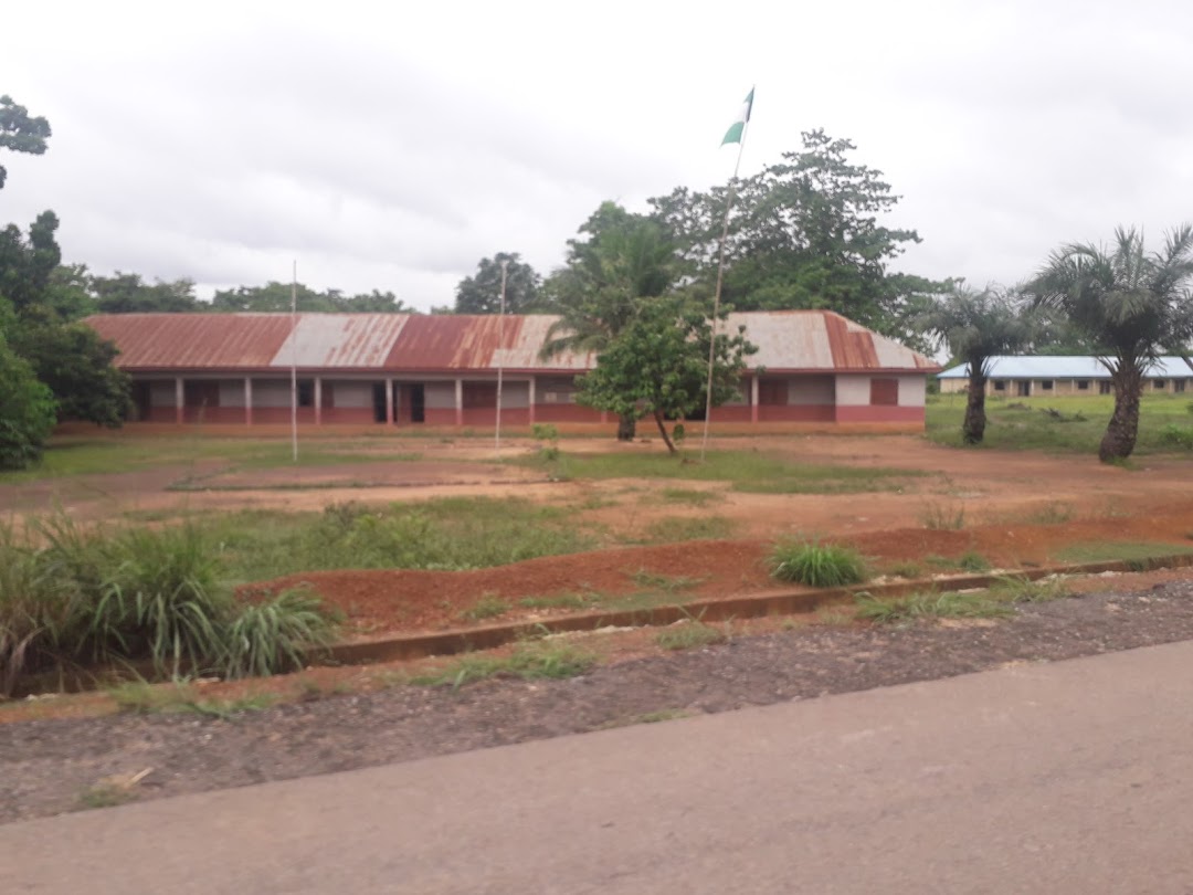 Primary School