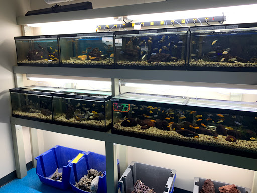 Pet Store «Southside Pet Shop», reviews and photos, 7031 Southside Dr, Louisville, KY 40214, USA